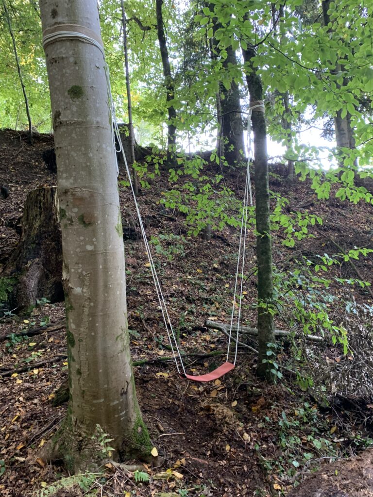 Baum-Schaukel Waldspielgruppe Frosch Oberburg, nähe von Burgdorf, Hasle, Rüegsauschachen, Biembach für Vorschulkinder