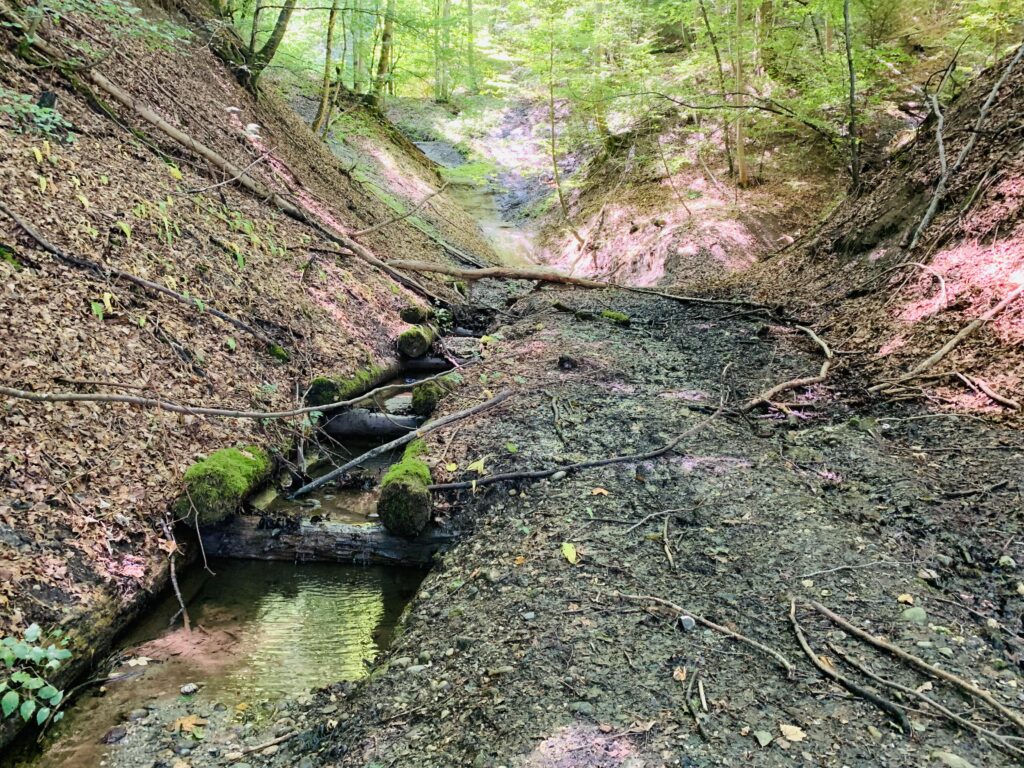 Bächli zum spielen und stauen und matschen Waldspielgruppe Frosch Oberburg, nähe von Burgdorf, Hasle, Rüegsauschachen, Biembach für Vorschulkinder