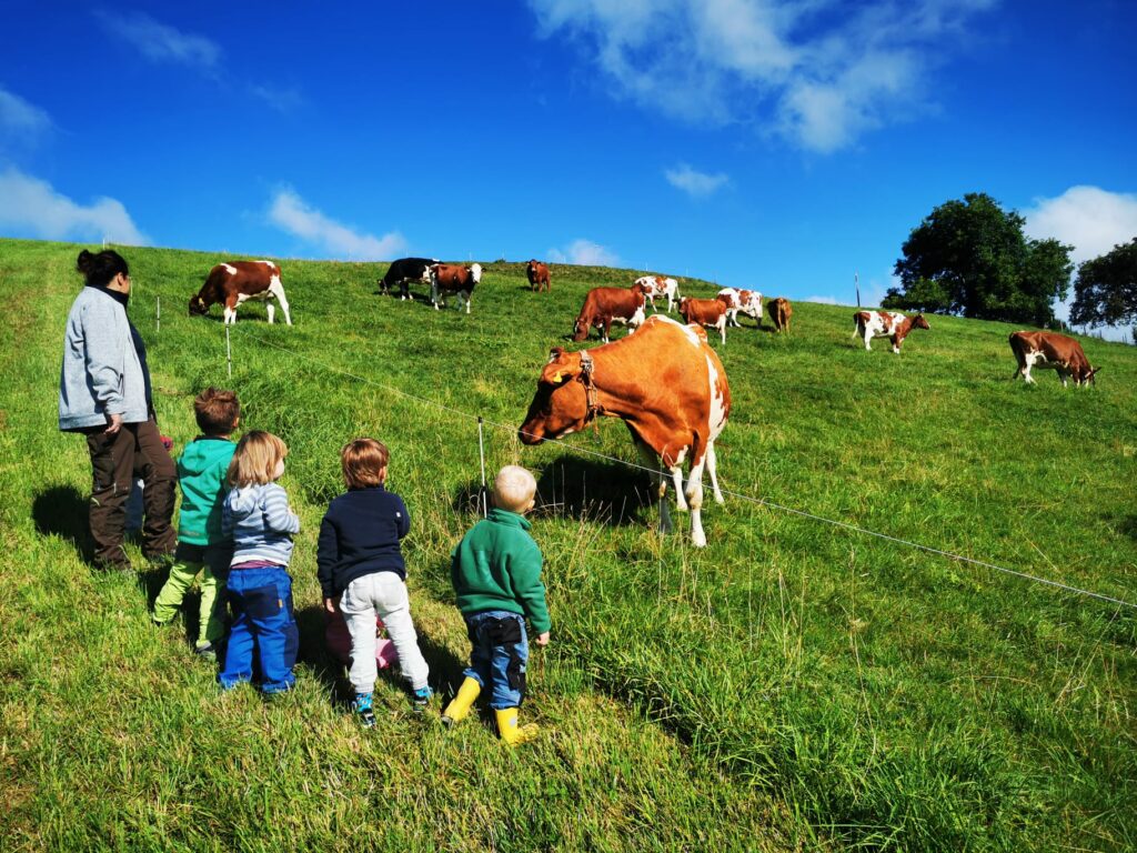 Kinder betrachten Kühe auf der Weide Bauernhofspielgruppe Oberburg bei Burgdorf, in Nähe von Hasle und Rüegsauschachen