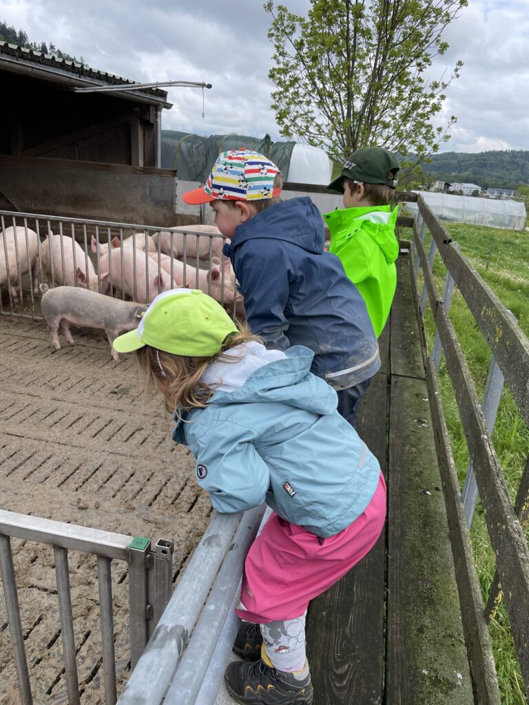Bauernhofspielgruppe Ringuschwänzli Ringelschwänzchen Oberburg Kinder zu Besuch bei den Schweinchen Oberburg, in der Nähe von Burgdorf, Hasle, Rüegsauschachen, Biembach für Vorschulkinder