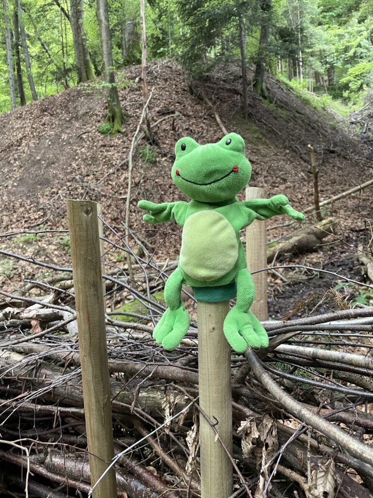 Maskottchen Frosch Waldspielgruppe Frosch Oberburg