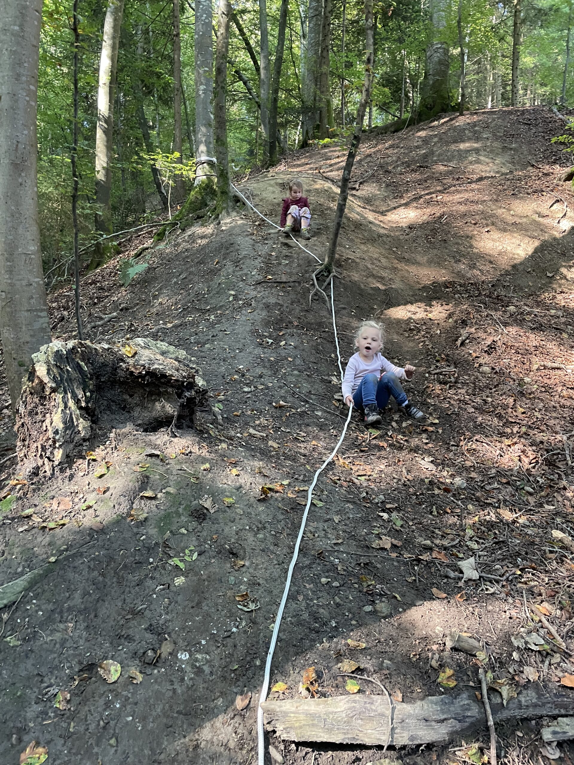 Kinder klettern im Wald Waldspielgruppe Oberburg Kletterparadies für Kinder im Vorschulalter