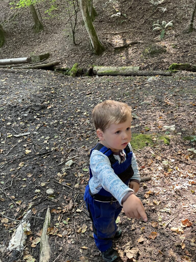 Waldspielgruppe, Abenteuer und entdecken im Wald für Kinder!